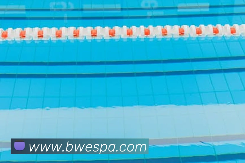 pa真人视讯平台生态图